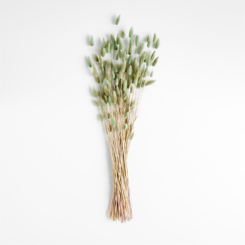 Dried Teal-Green Bunny Tail Bunch 30" - Image 3