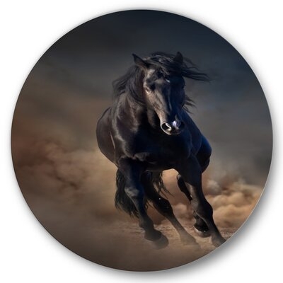 Portrait Of Thoroughbred Nonius Stallion Horse I - Farmhouse Metal Circle Wall Art - Image 0