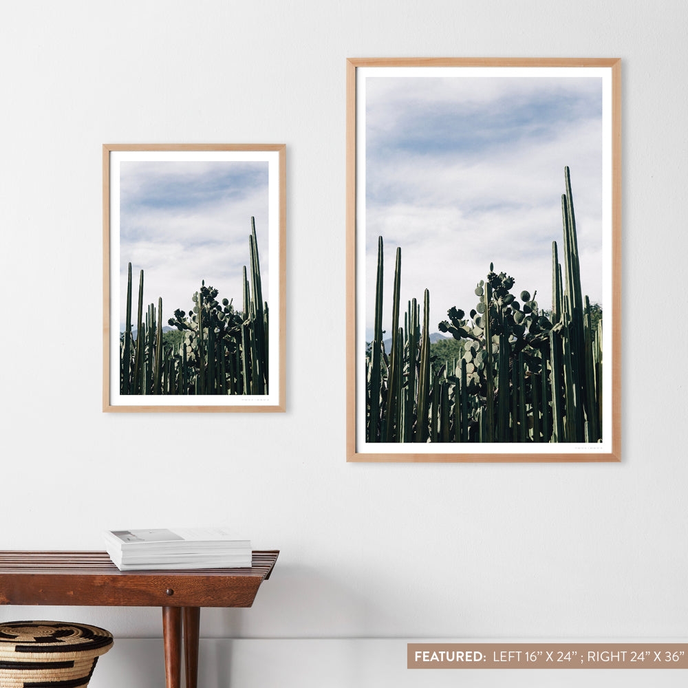 The Citizenry Oaxaca .03 Wall Art No Frame | 16" x 24" | Green - Image 6