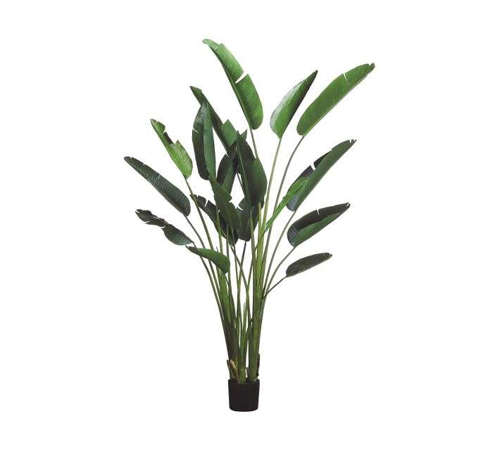 Faux Bird Of Paradise Plant With 12 Leaves, 6.25' - Image 1