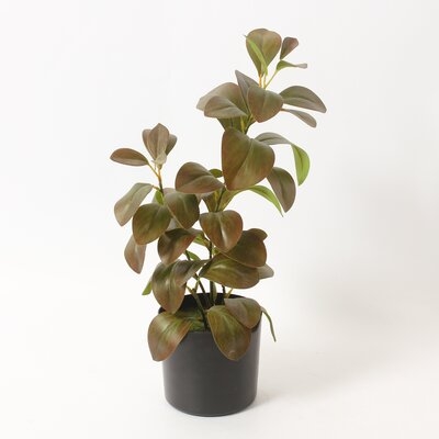 18" Peperomia Faux Plant In Pot - Image 0