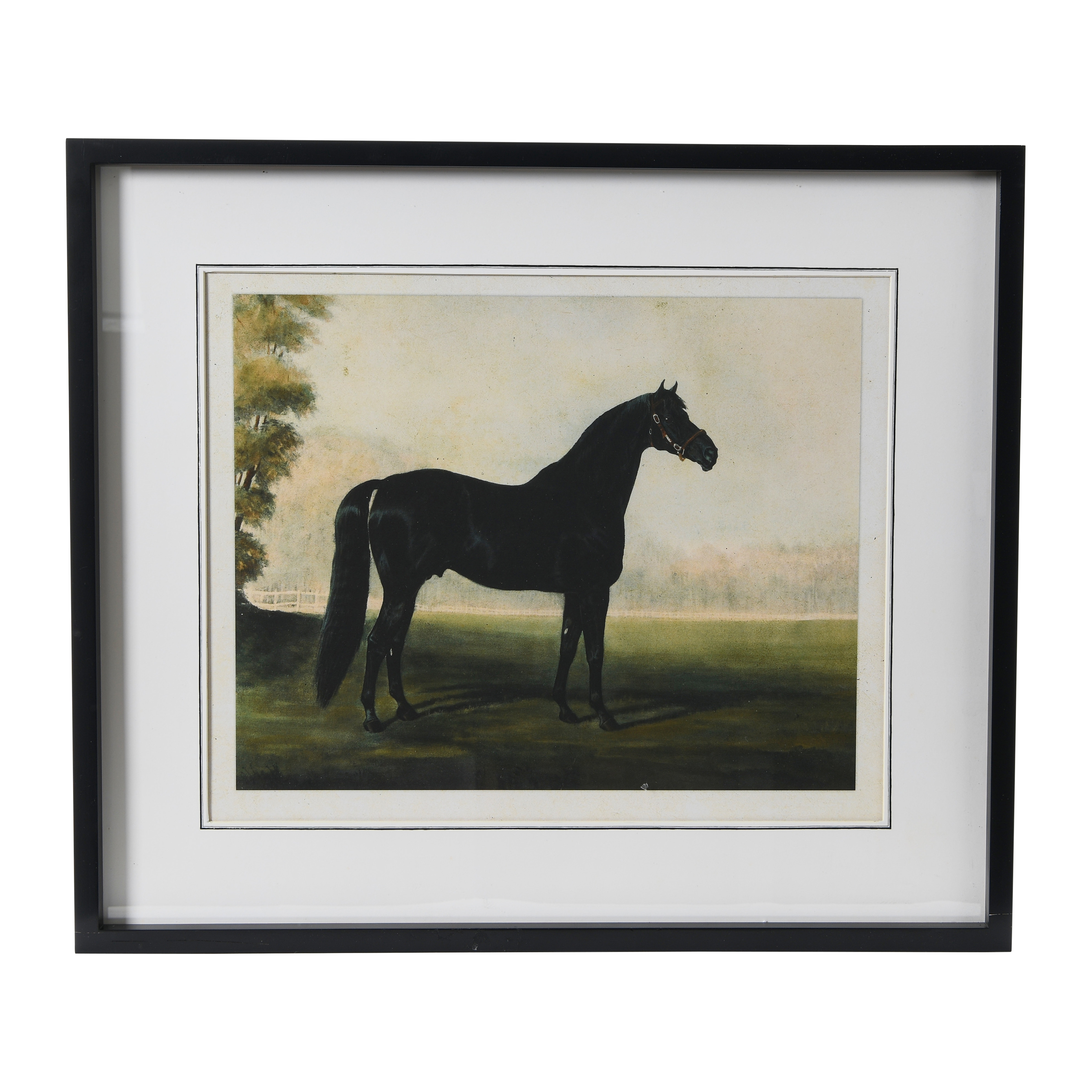 Horse Print with Wood Frame - Image 0