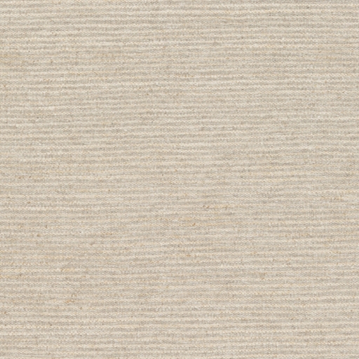 Fiji Gray Indoor 8' x 11' Handmade Rug - Image 0