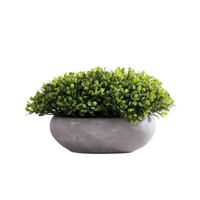 6.8'' Artificial Boxwood Plant in Pot - Image 0