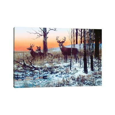 Deer III by Don Kloetzke - Wrapped Canvas Painting - Image 0