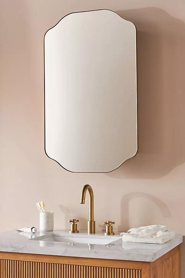 Sebastian Mirrored Medicine Cabinet - Image 0