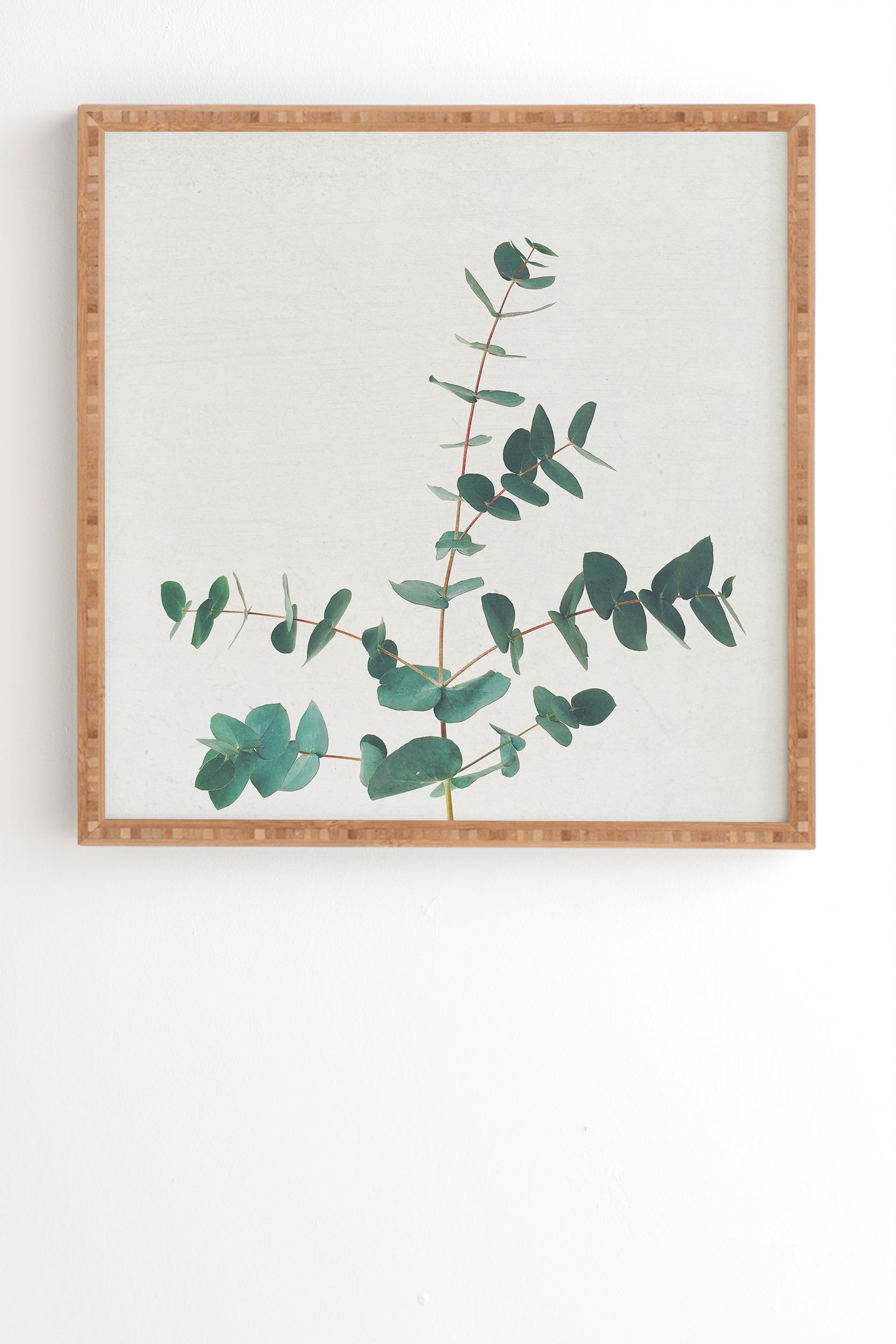 The Eucalyptus by Cassia Beck - Framed Wall Art Bamboo 19" x 22.4" - Image 1