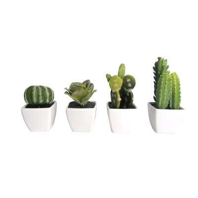 Artificial Mini Succulent & Cactus Plants In Cube-shaped Pots - Image 0
