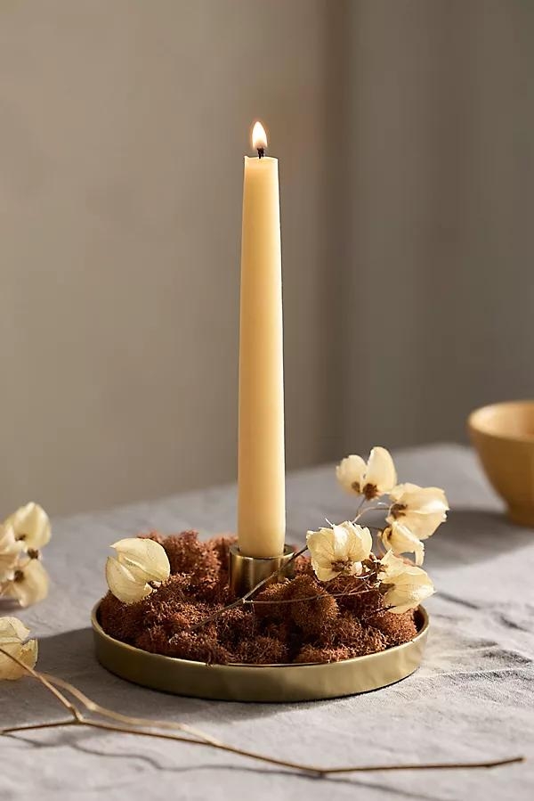 Dish Candlestick Holder - Image 0