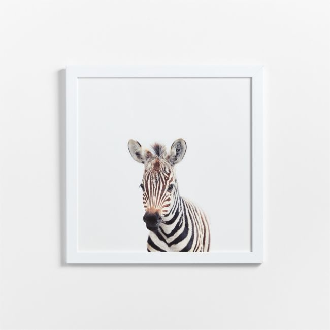 Baby Zebra White Wood Framed Wall Art Print - Image 0