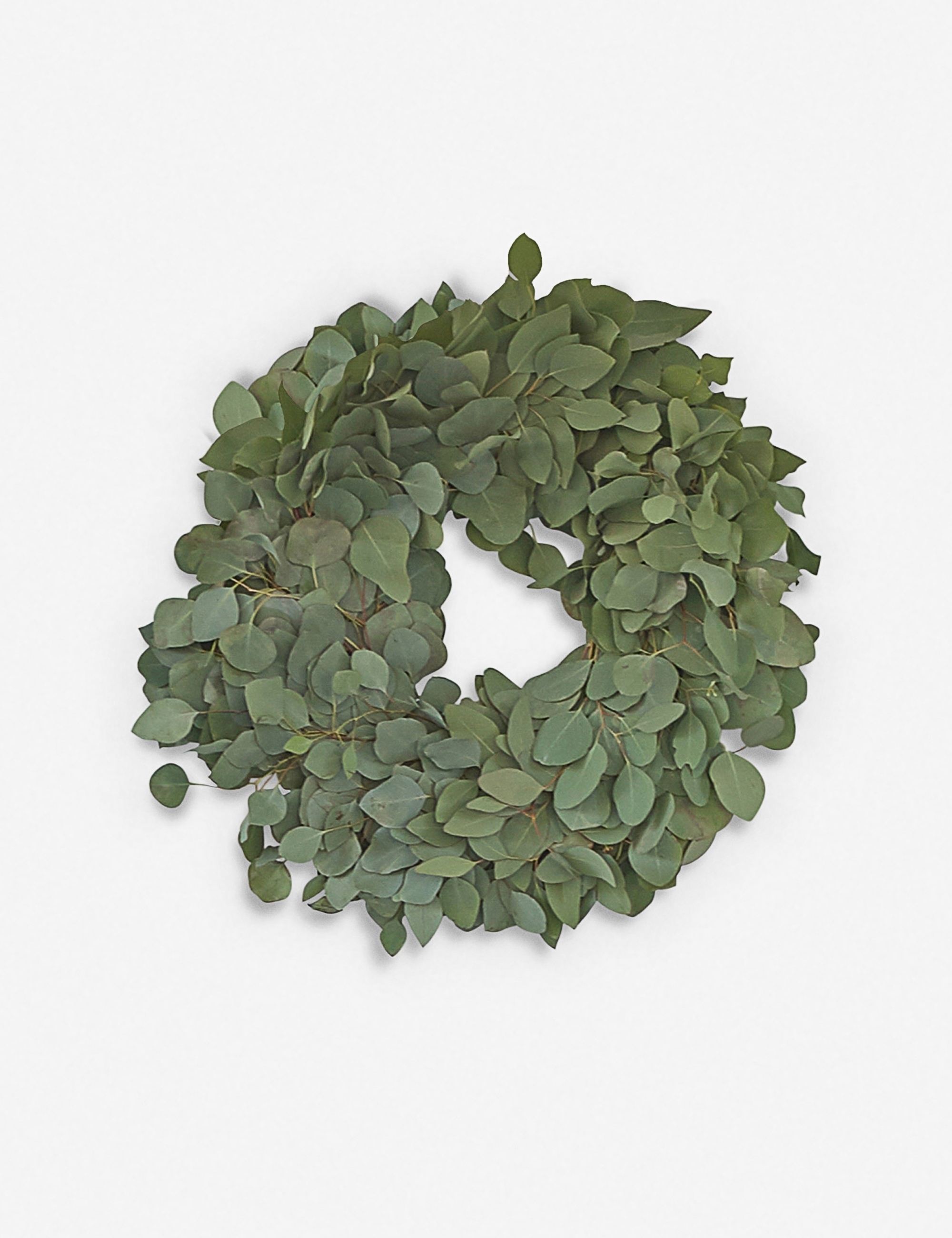 Silver Dollar Eucalyptus Wreath - Image 0