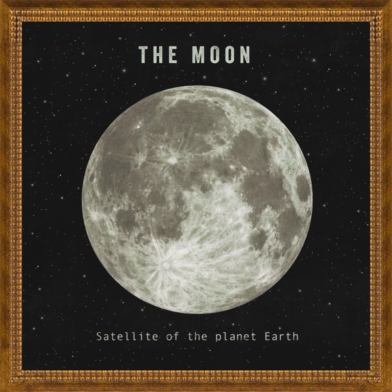 The Moon  by Terry Fan for Artfully Walls - Image 0