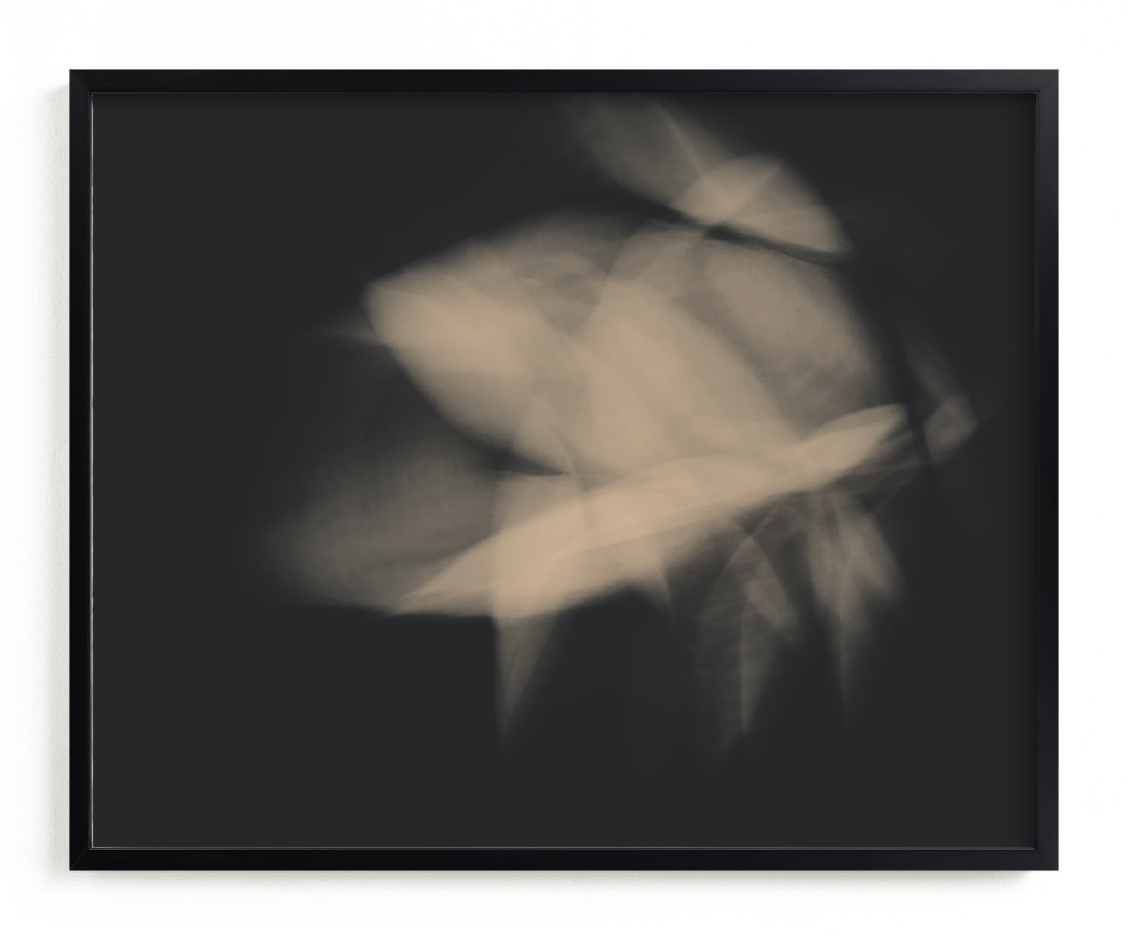 Flower Dance II Limited Edition Fine Art Print 2 - Image 0