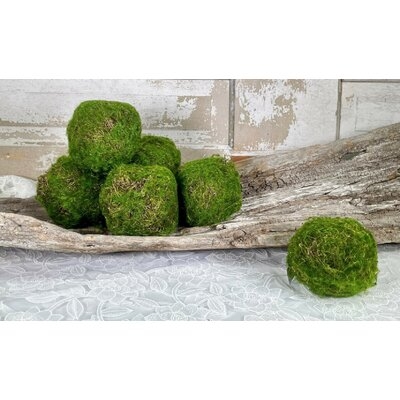 Orb Artificial Moss 4" Set Of 6 - Image 0