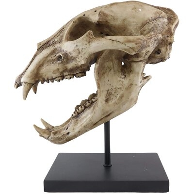 Ebros Faux Taxidermy Replica Fossil Style Black Bear Skull Baring Jaws And Teeth Statue On Museum Gallery Pole Mount And Brass Name Plate 11.25" Tall Rustic Decorative Model Skulls Bears Figurine - Image 0