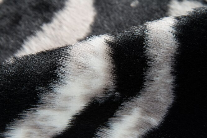 Acadia Zebra Black Area Rug, 5'3" x 7'10" - Image 2