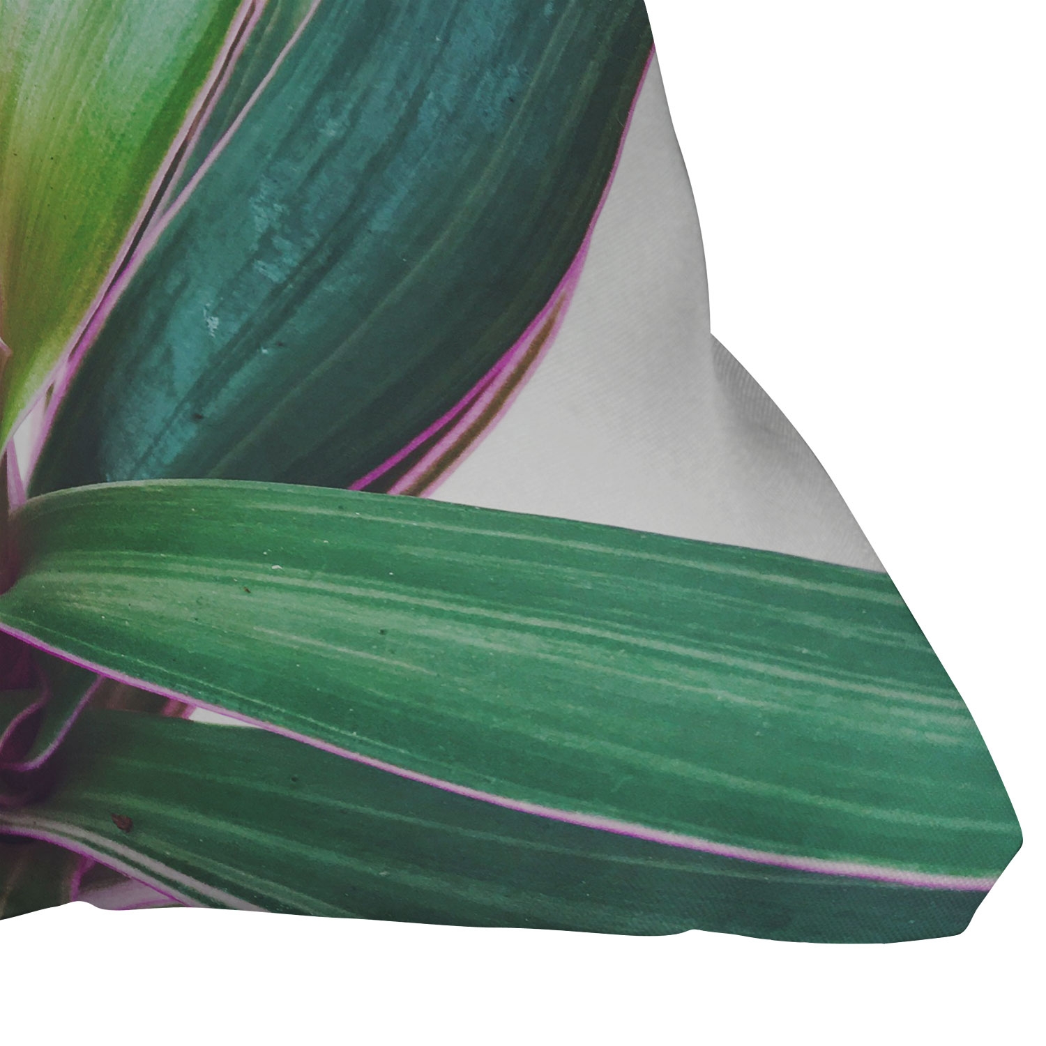 Oyster Plant by Cassia Beck - Outdoor Throw Pillow 26" x 26" - Image 0