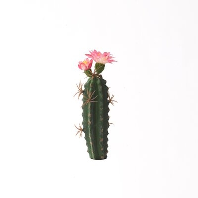 Finger Cactus with Bloom Plant - Image 0