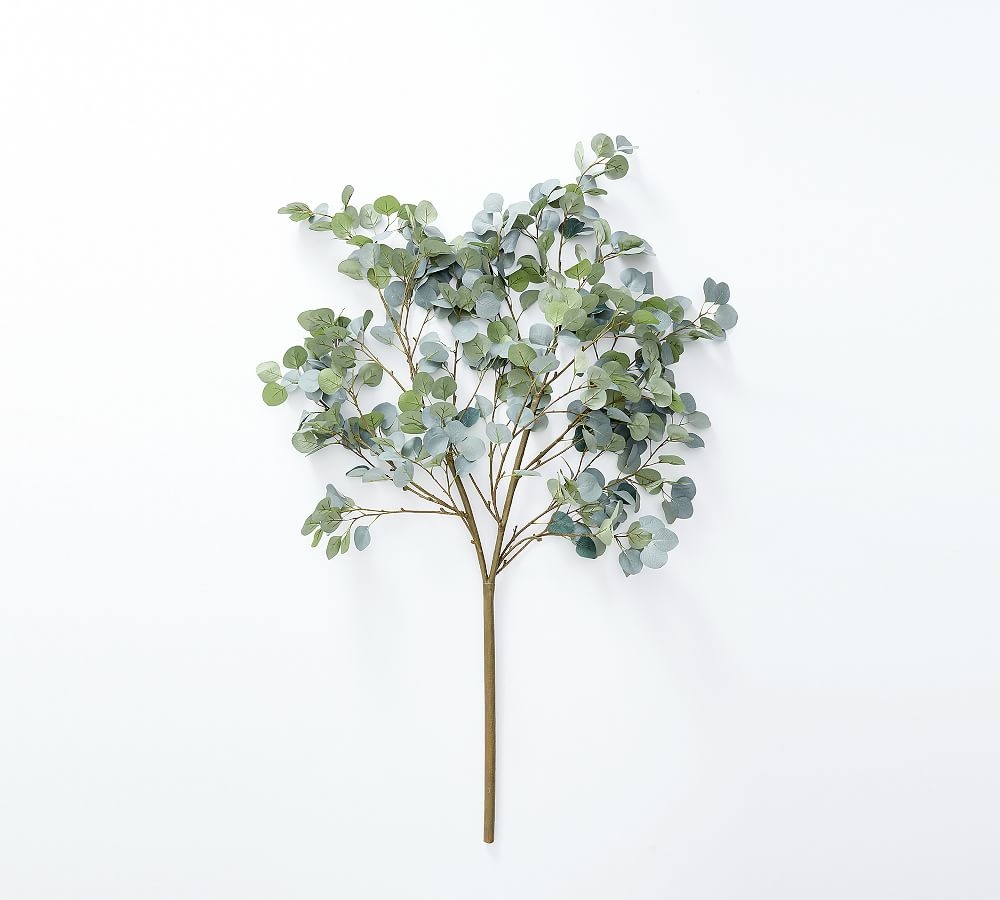 Faux Oversized Silver Dollar Eucalyptus Branch - Image 0