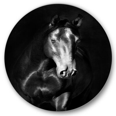 Portrait Of Black Kladruby Horse - Farmhouse Metal Circle Wall Art - Image 0