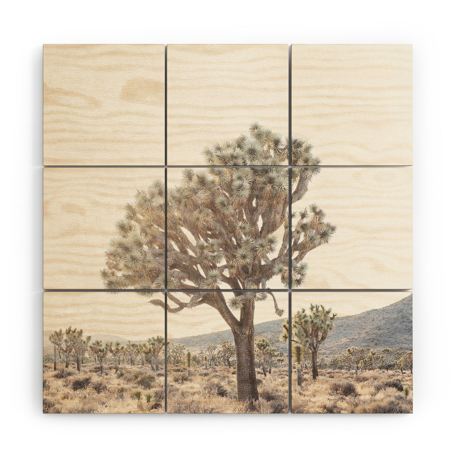 Desert Light by Bree Madden - Wood Wall Mural3' X 3' (Nine 12" Wood Squares) - Image 0