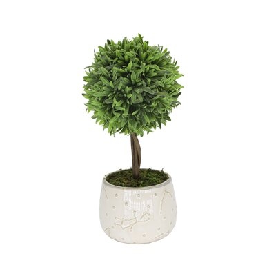 7'' Artificial Boxwood in Pot - Image 0
