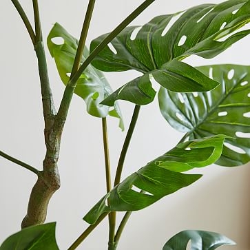 Faux Potted Monstera, 3' - Image 1