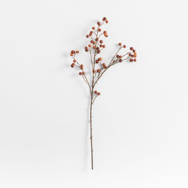 Faux Rose Hip Spray 34" by Abigail Ahern - Image 0