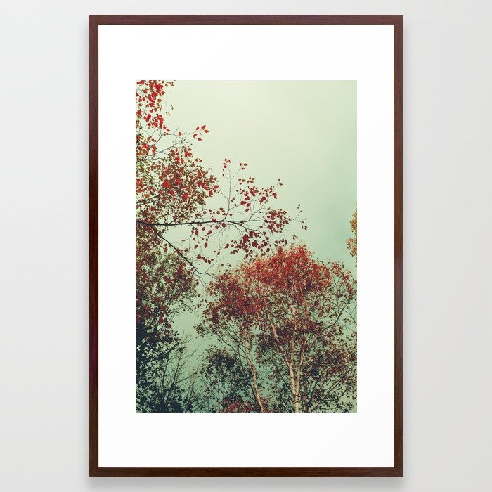 Autumn Memories Framed Art Print by Olivia Joy St Claire X  Modern Photograp - Conservation Walnut - Large 24" x 36"-26x38 - Image 0
