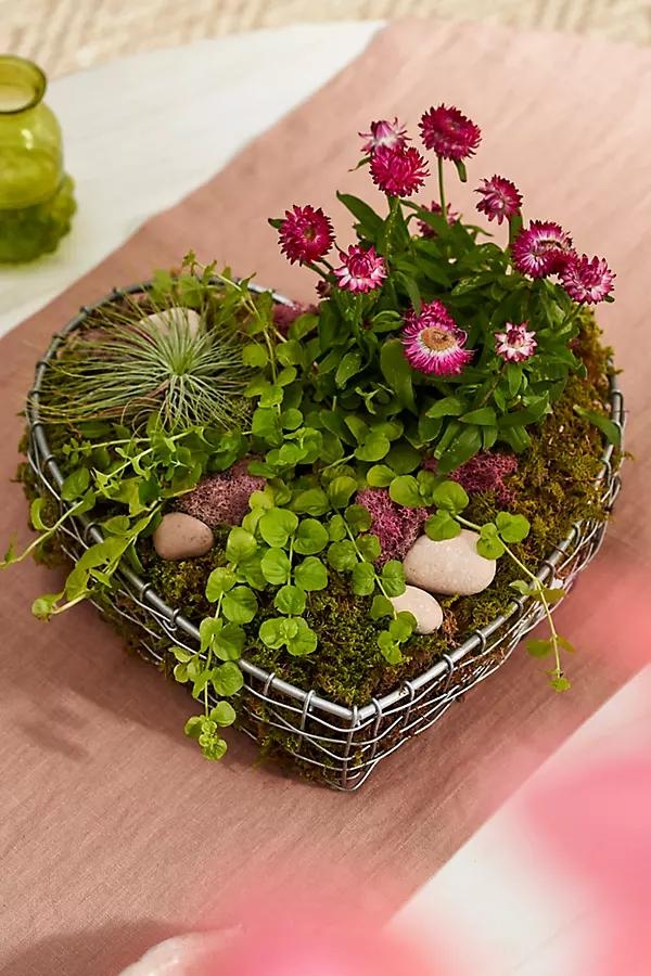 Wire Heart Bowl - Image 0