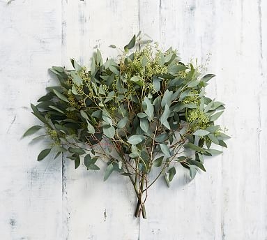 Live Seeded Eucalyptus Branches, 3 Bunches - Image 0