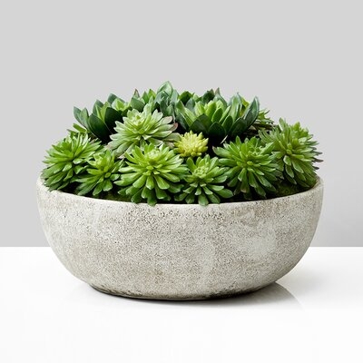 Faux Succulent Mix In Bowl - Image 0