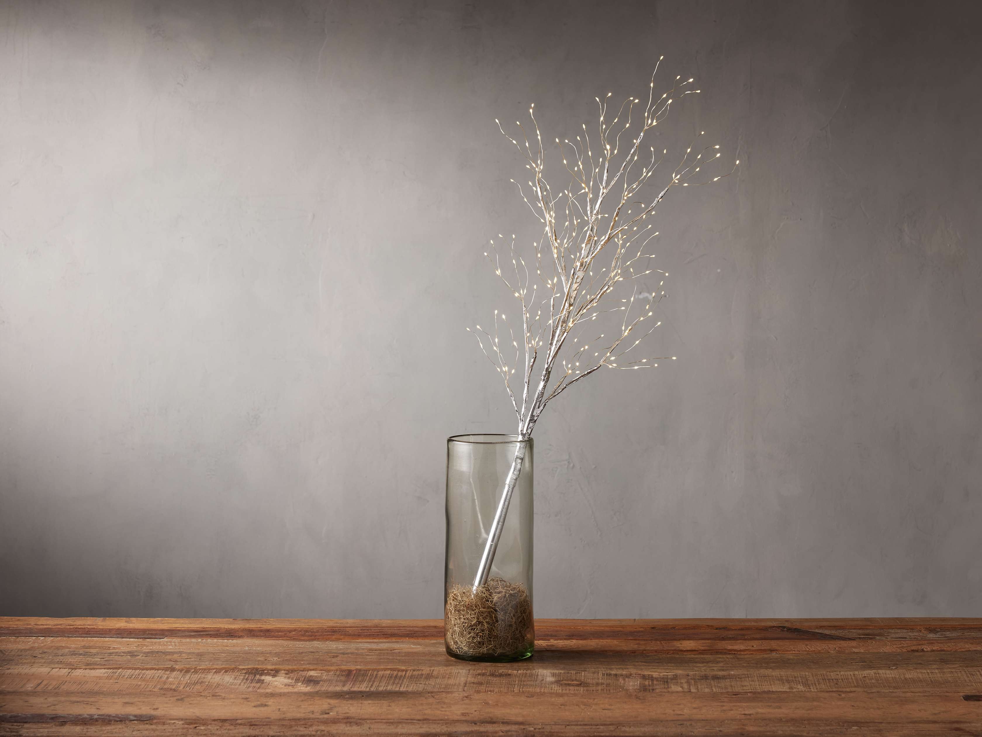 String Light Branch in Silver - Image 0