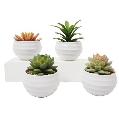 4 Artificial Assorted Cactus Succulent in Pot Set - Image 0