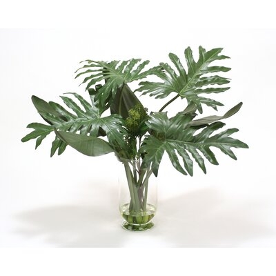 Philodendron Plant in Decorative Vase - Image 0