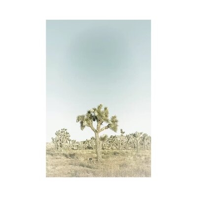Joshua Tree National Park | Vintage by Melanie Viola - Gallery-Wrapped Canvas Giclée - Image 0