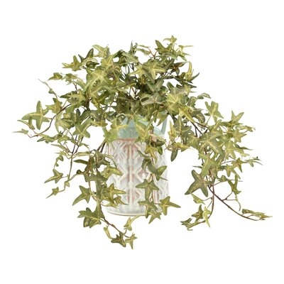 Variegated Ivy Desktop Foliage Plant in Rustic Pot - Image 0
