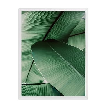 Tropical Leaves, Full Bleed 18"x24", White Wood Frame - Image 0