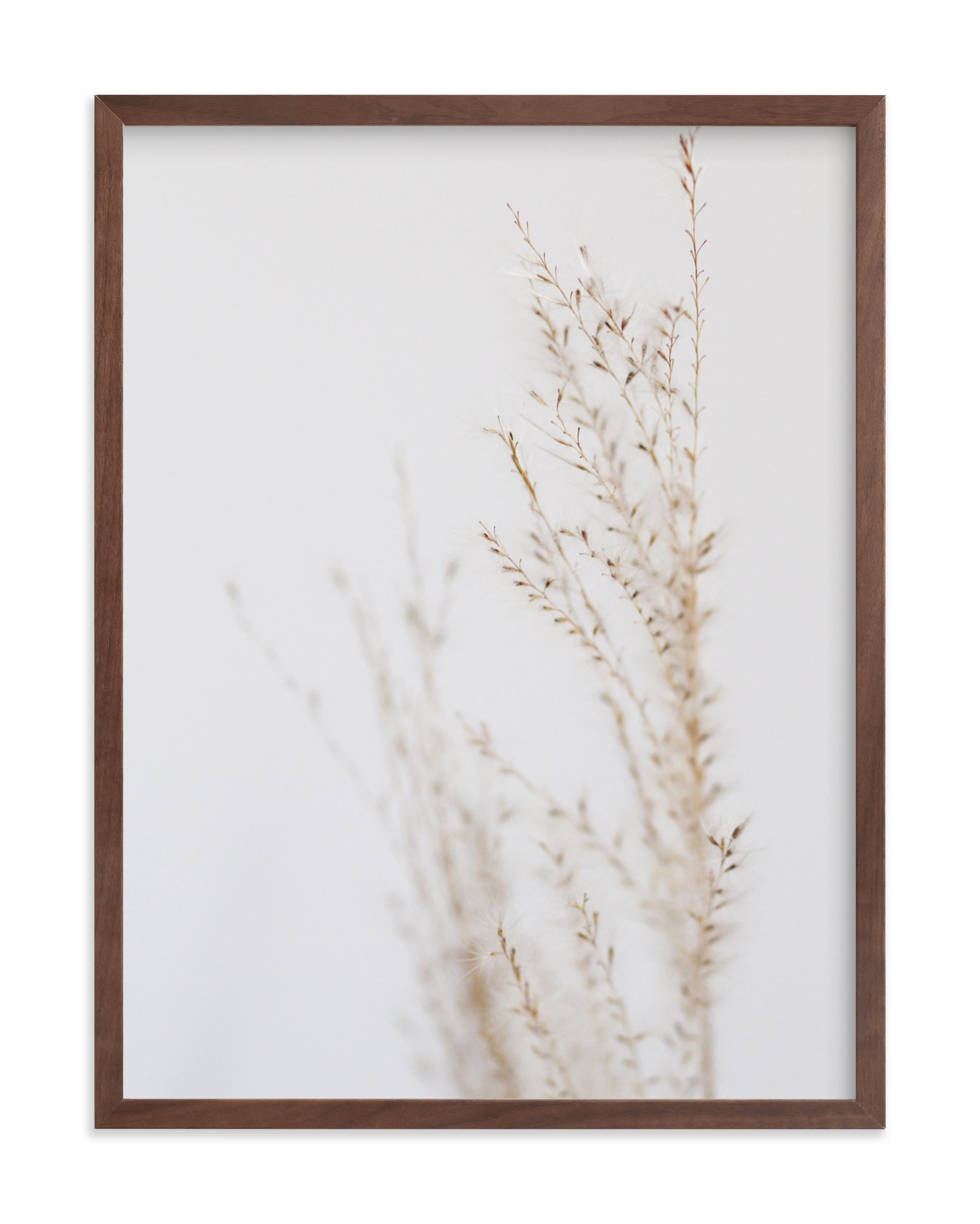Ghosted Neutrals 3 Limited Edition Fine Art Print - Image 0