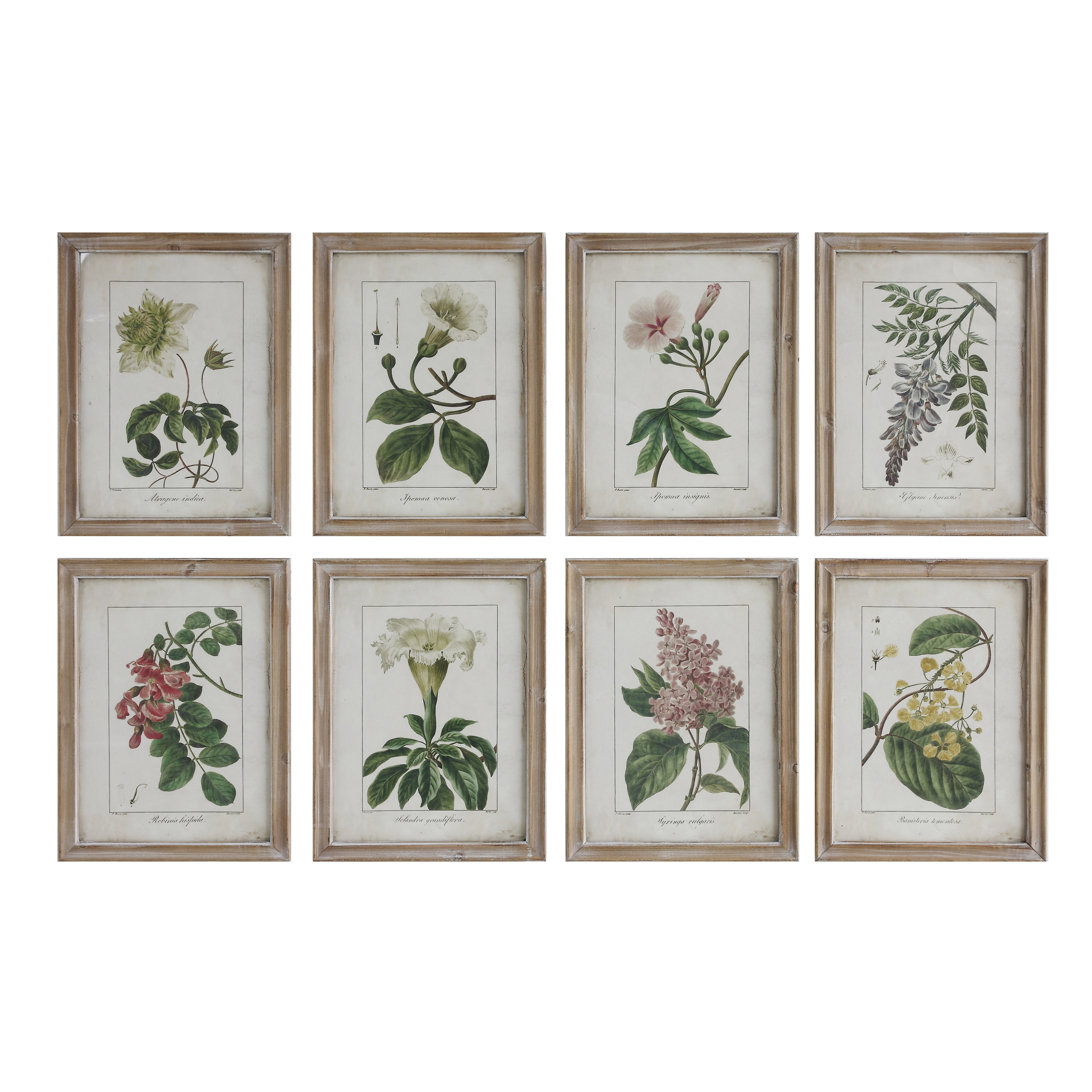 Wood Framed Wall Décor with Floral Image Reproductions (Set of 8 Designs) - Image 0