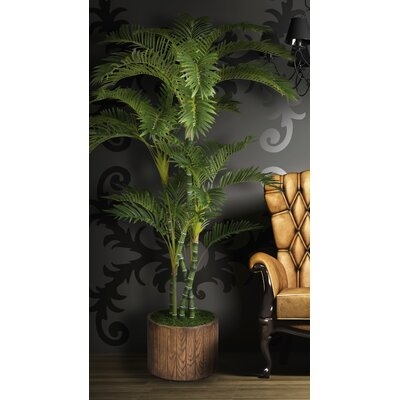 Tall Palm Tree in Planter - Image 0