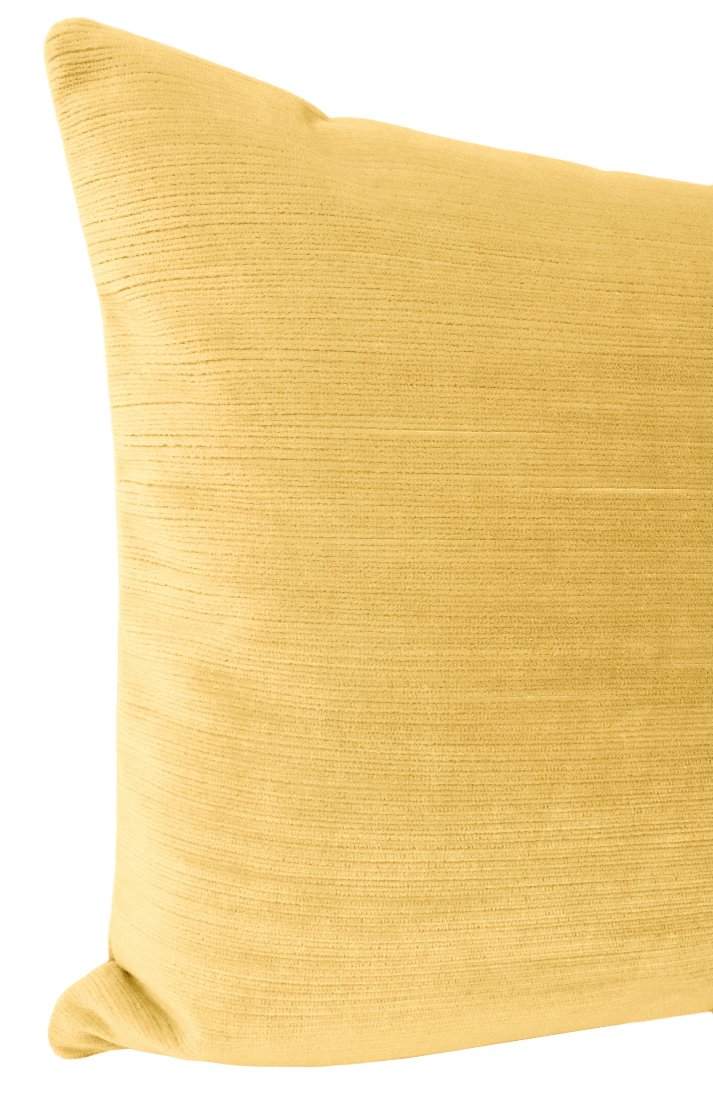 THE XL LUMBAR :: STRIE VELVET // GOLDENROD - BY THE YARD - Image 3