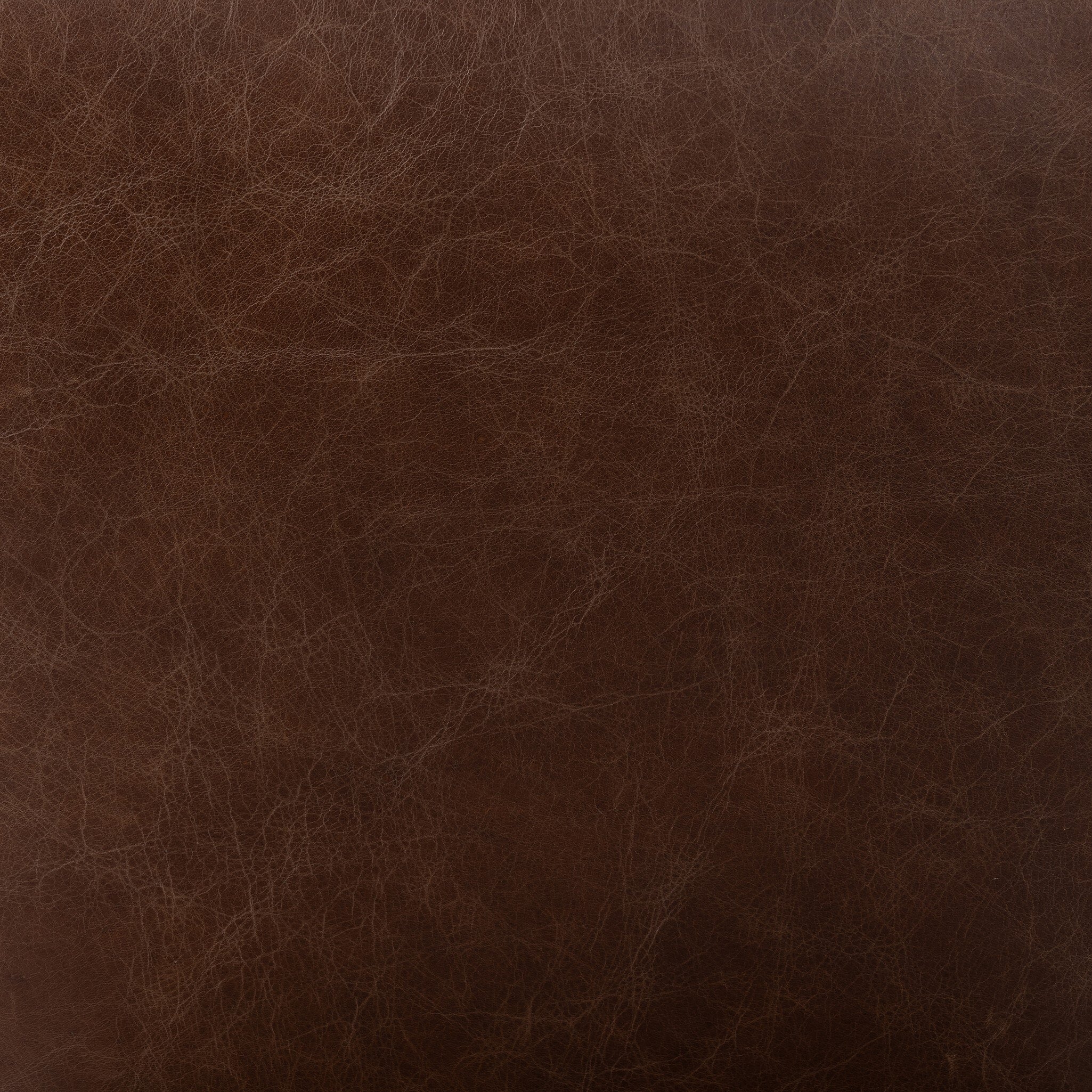 Anton Dining Chair - Havana Brown - Image 3