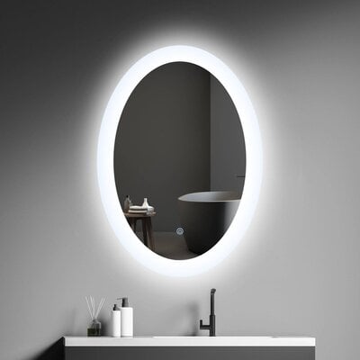 20 X 28 Inch Oval Wall Mounted LED Backlit Bathroom Mirror With Touch Sensor - Image 0