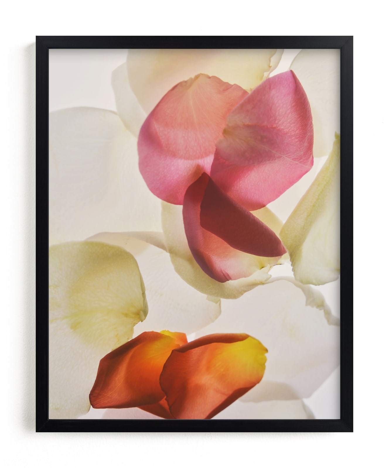 Inventing A Flower Limited Edition Fine Art Print 2 - Image 0
