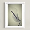My Love For Calla #1 Limited Edition Fine Art Print 2 - Image 0
