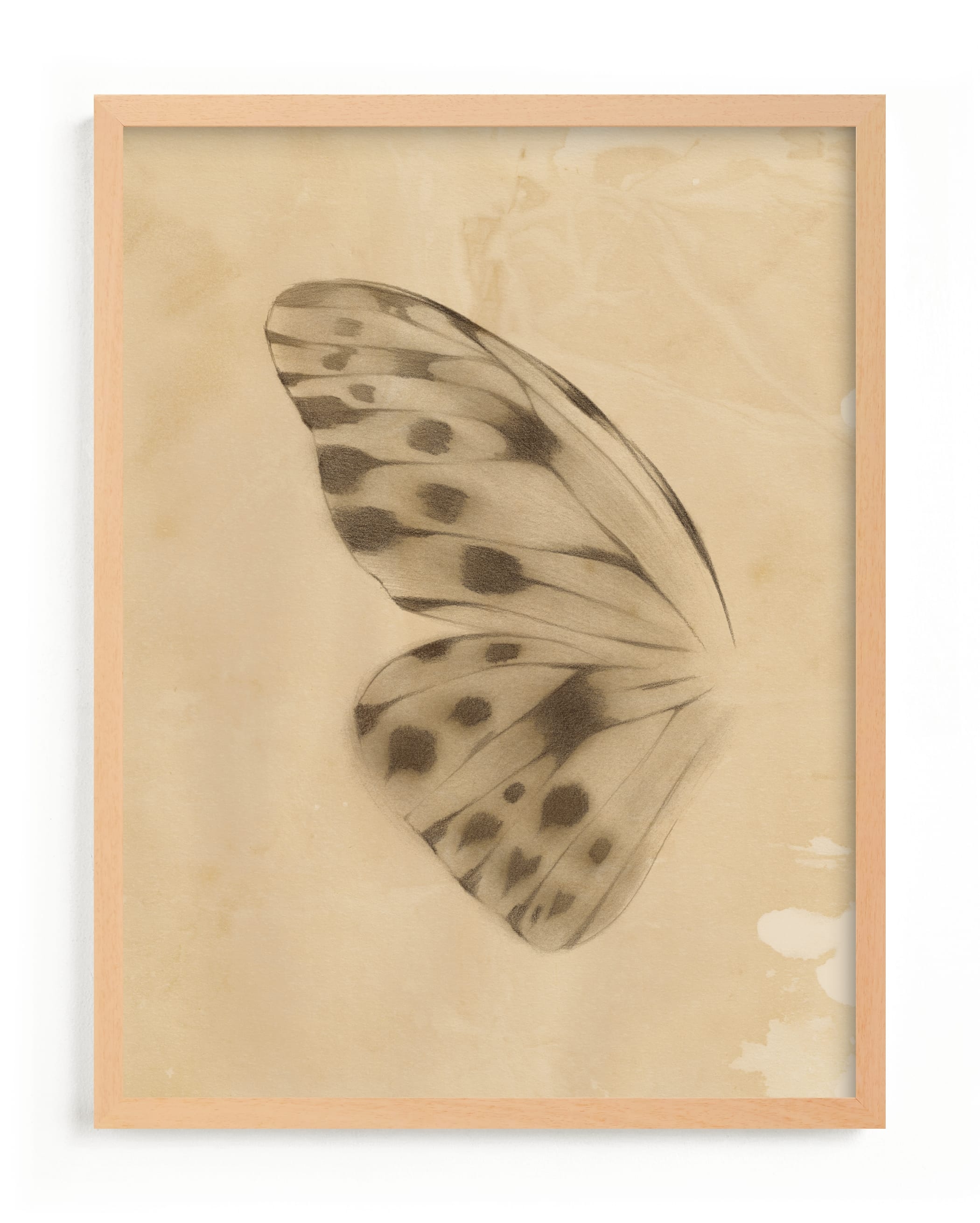 Vintage Mariposa I Limited Edition Fine Art Print 2 - Image 0