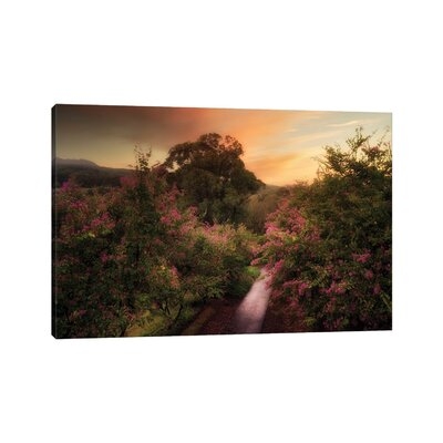 Painterly Road by Dennis Frates - Wrapped Canvas Gallery-Wrapped Canvas Giclée - Image 0