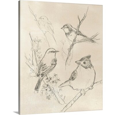 Vintage Songbird Sketch I Canvas Wall Art - Image 0