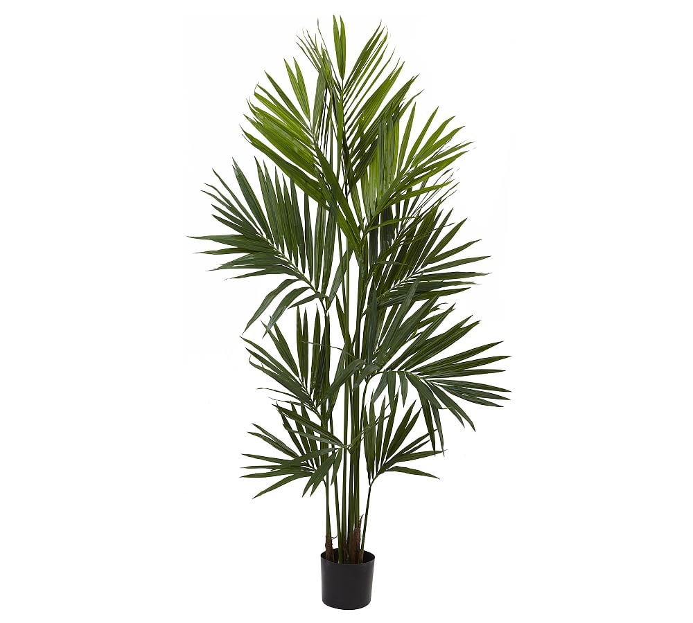 Faux Kentia Palm Silk Tree, 7' - Image 0